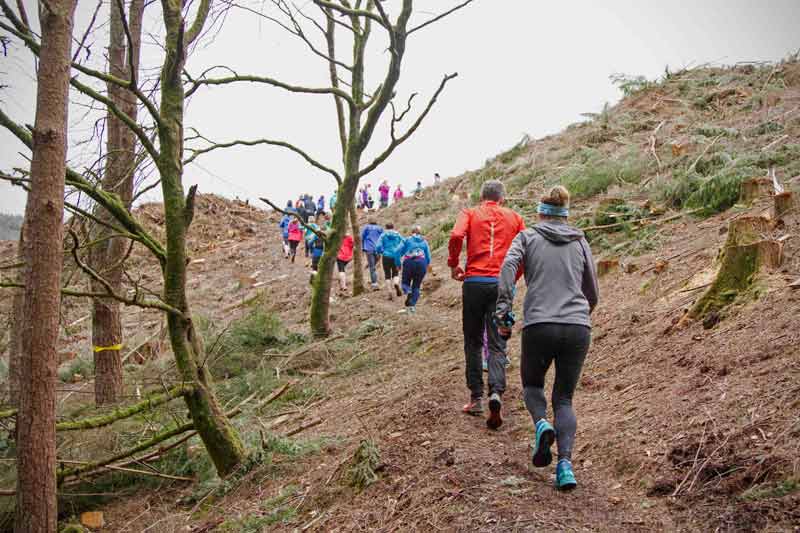 Anna Drills up hill deforest 1GB