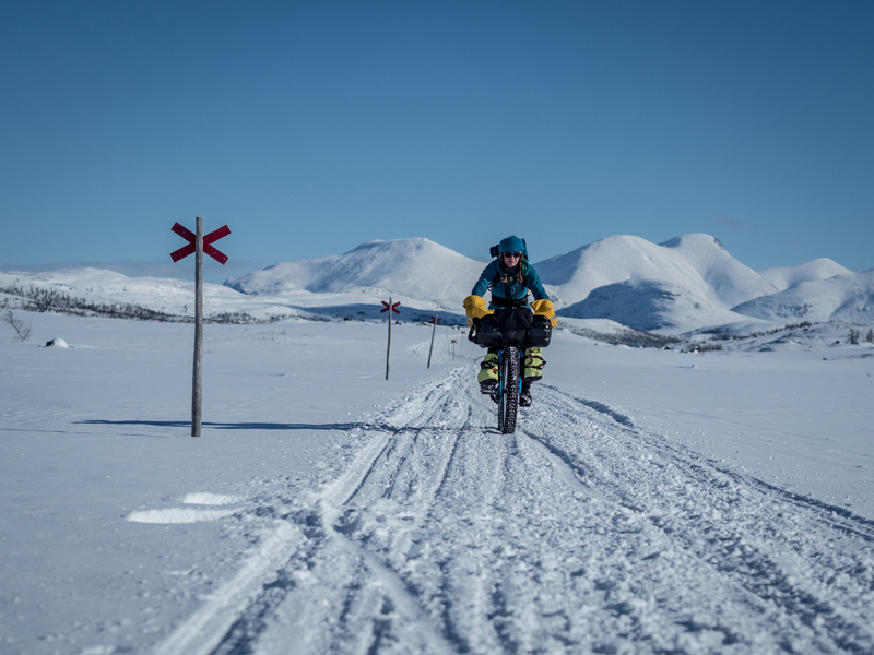 Lemonade in Lapland 2