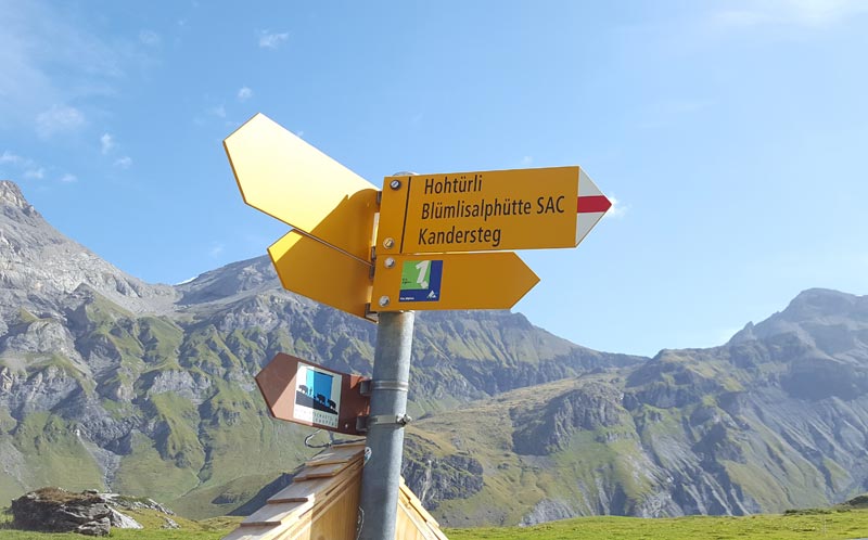 Via Alpina 2019 signpost