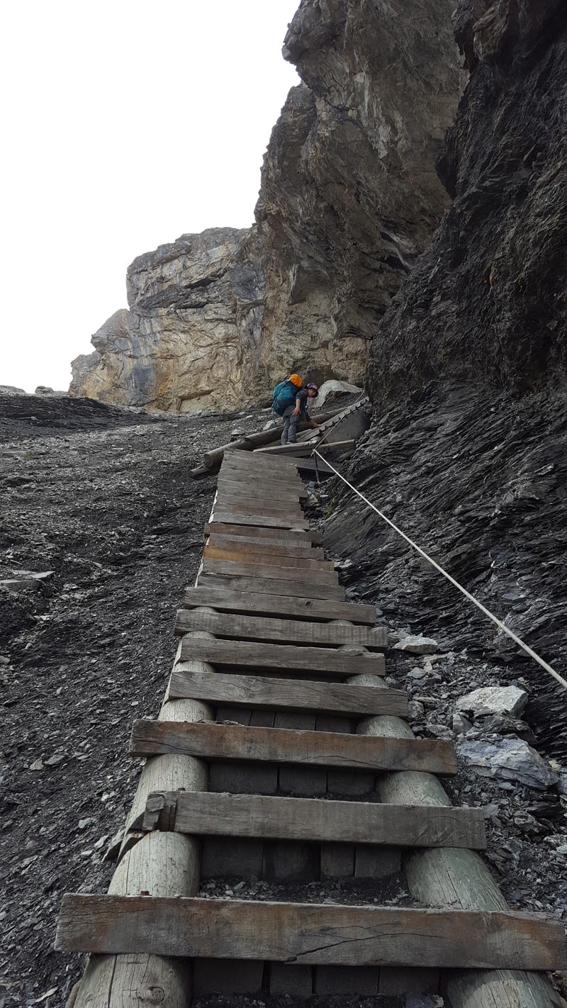 Via Alpina 2019 steps