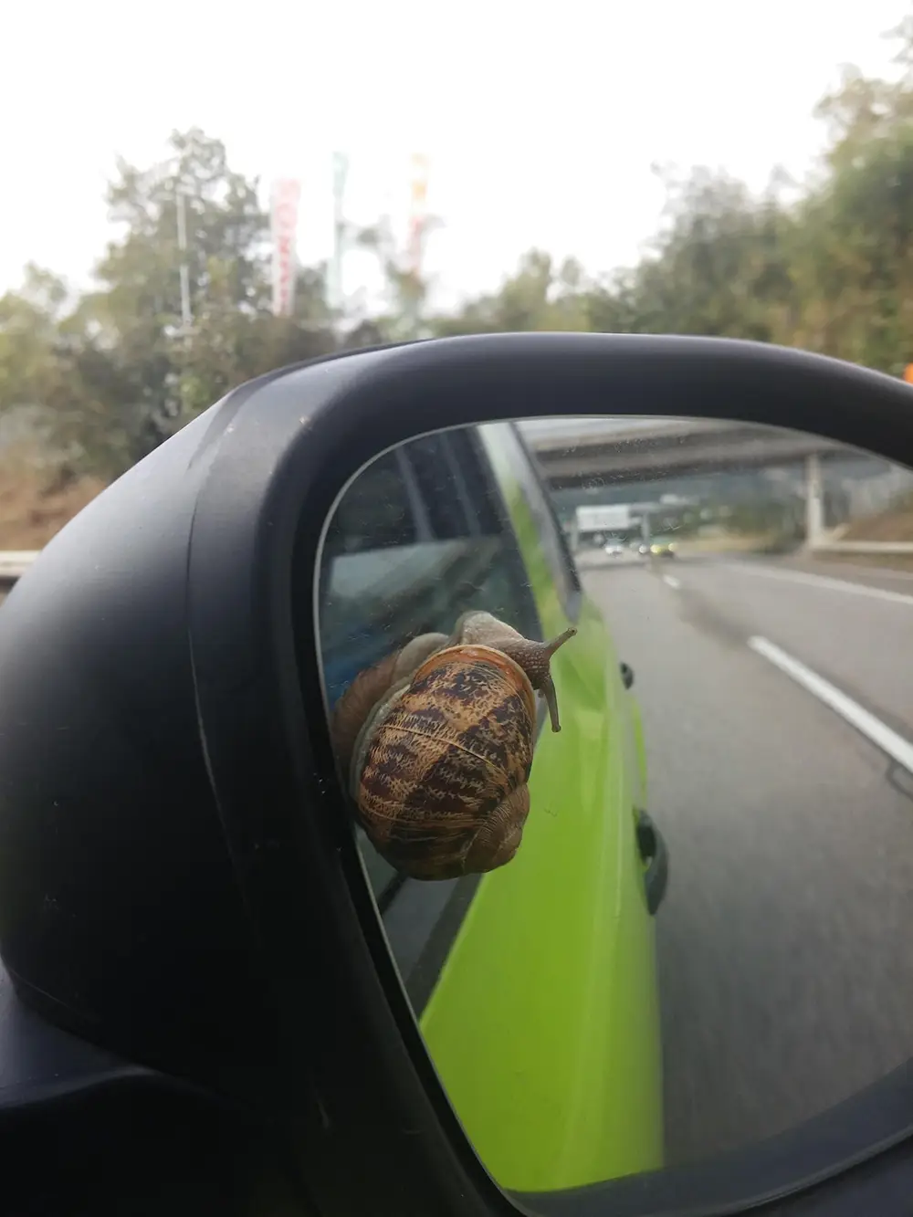 mariusn car 445450 1920