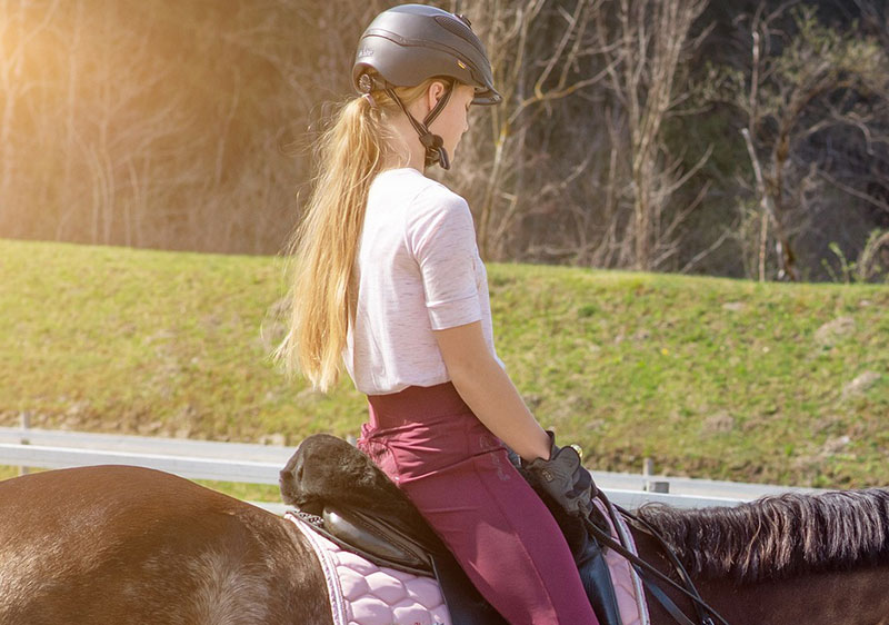 riding gloves 6147267 800