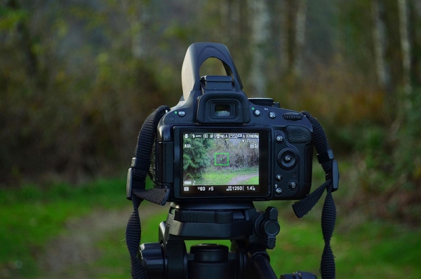 Documenting Your Adventure: The Art of Capturing Outdoor Stories
